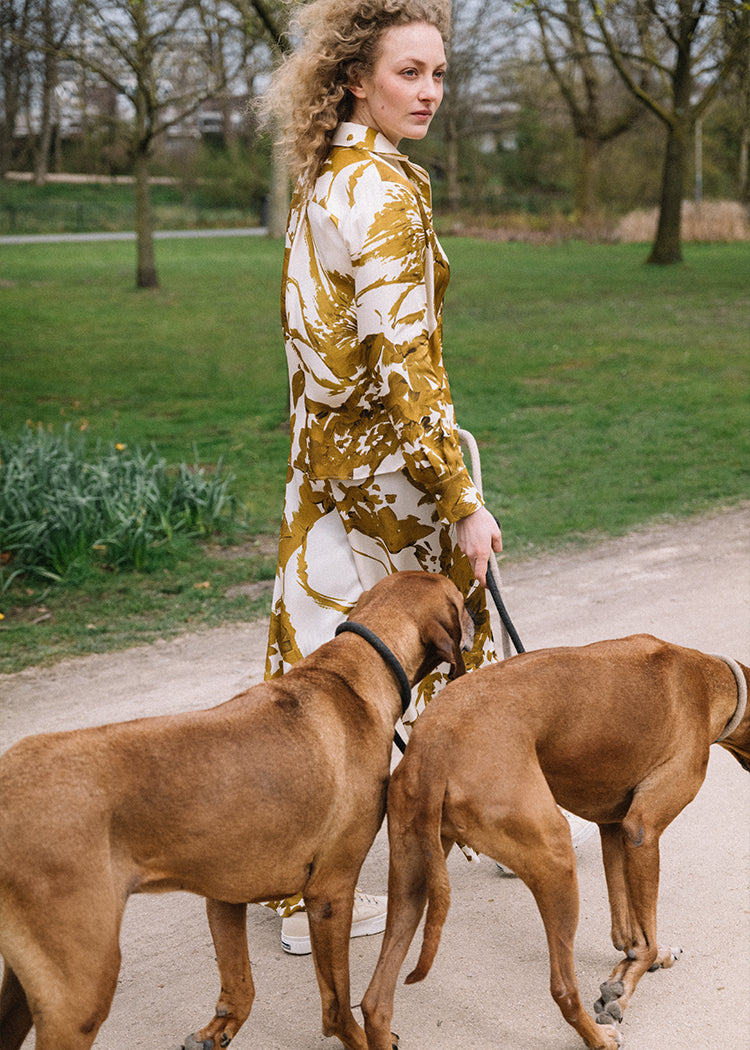 from a to b campagne vanilia